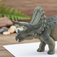 Triceratops Figure Long-Lasting Solid Dinosaur Model Educational for Boys