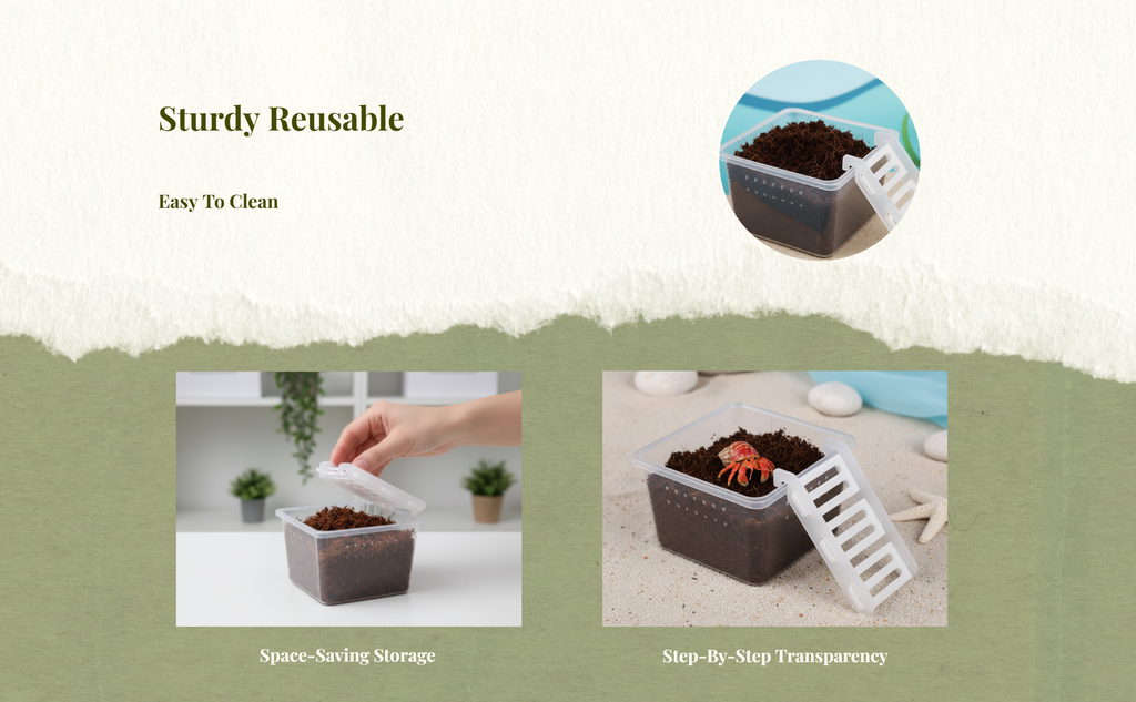 Hermit Crustacean Molting Isolation Habitat Setup Container