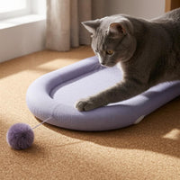 Oval Feline Scratching Board Padded Rim Pet Furniture Long-Lasting