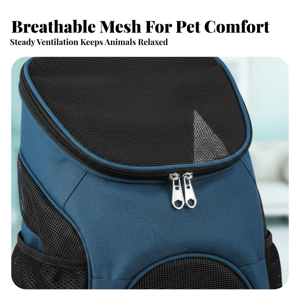 transparent portal packpack Foldable creature packpack Breathable for Outdoor, Travelers