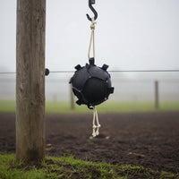 Horse Feed Ball Boredom Relief Carrot Feeding Ball Foraging Behavior for Pasture