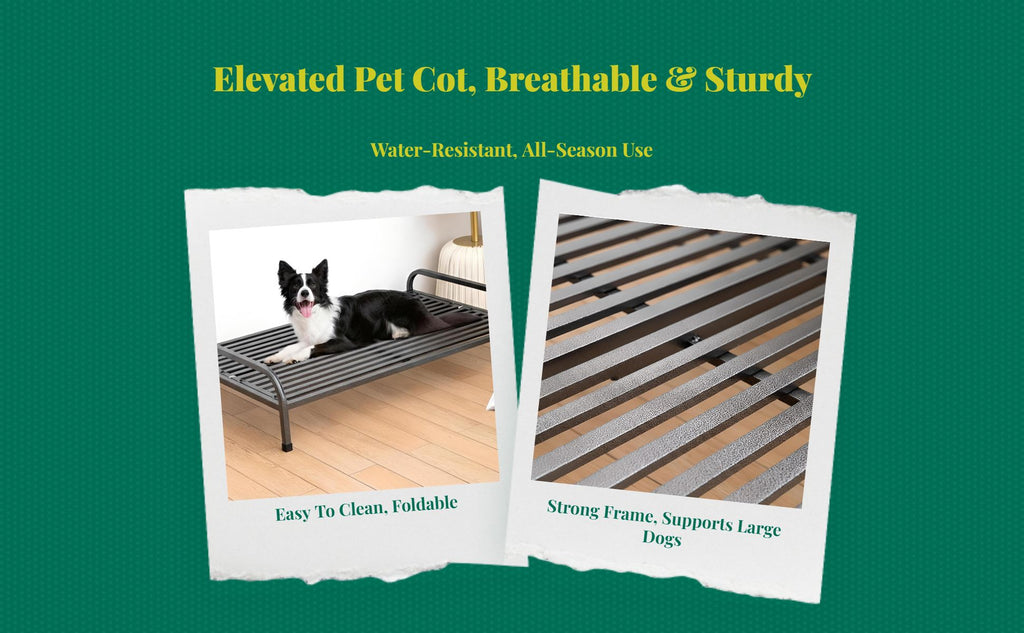 Cooling dog bed with removable cover