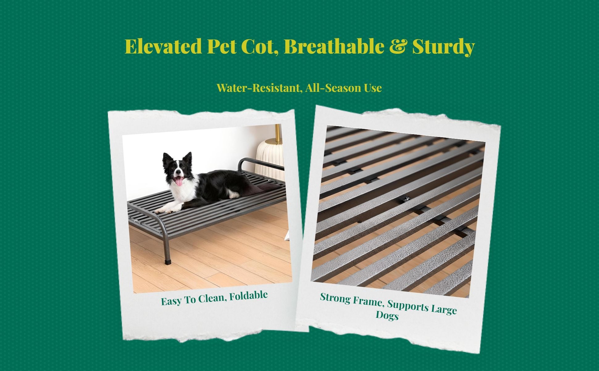 Cooling dog bed with removable cover