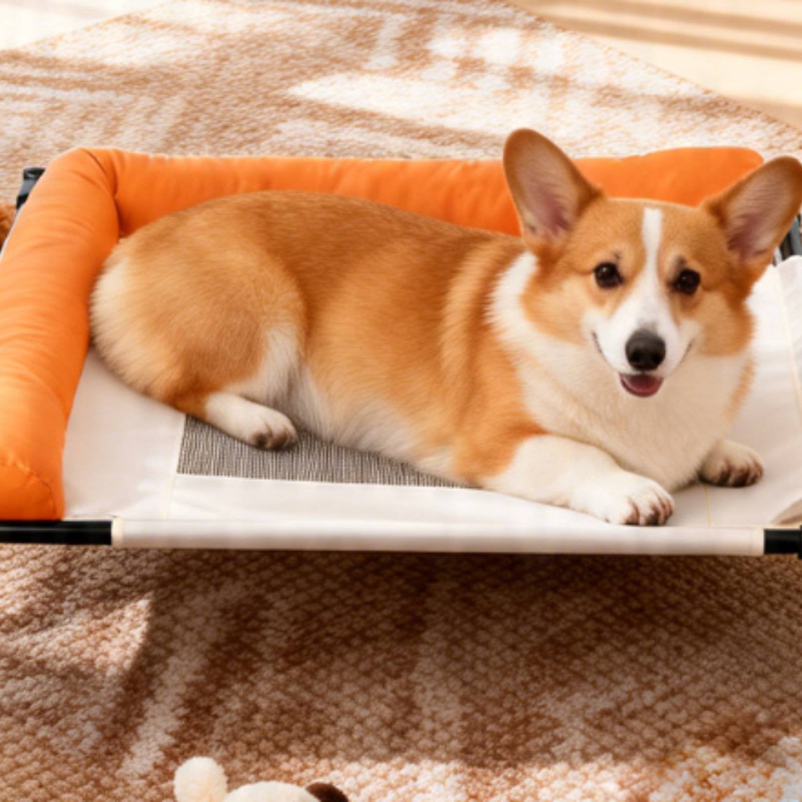 Breathable Raised Pet Bed Washable Elevated Pet Cot Easy to Clean for Dogs, Cats
