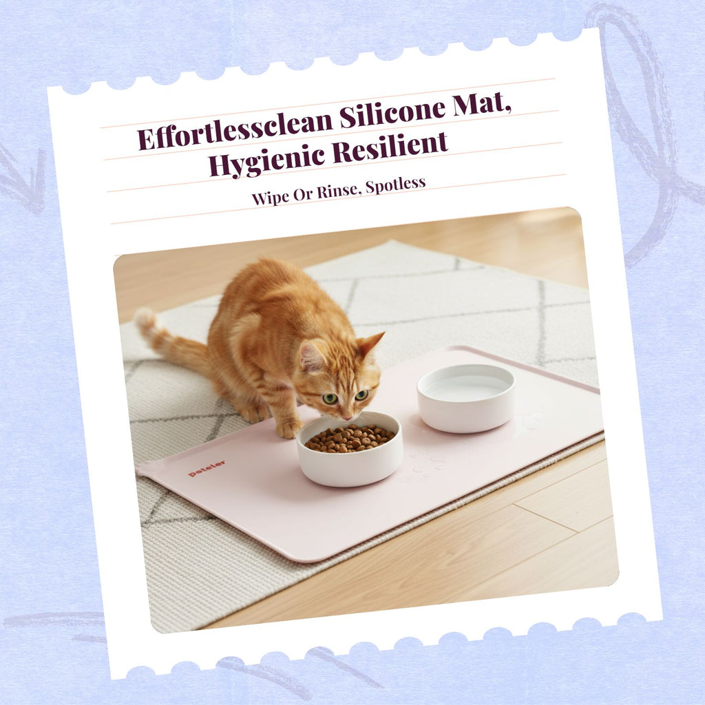 Pet Feeding Mat, Silicone Waterproof Non-Slip Pet Bowl Mat, wellnessConscious, Raised edge, Easy to Clean, Protects Floors, for felines and Dogs