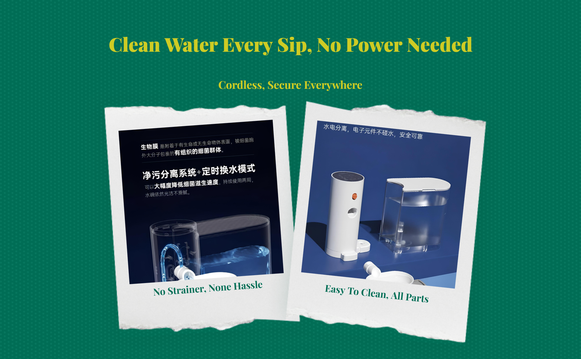 Large filtered pet water dispenser