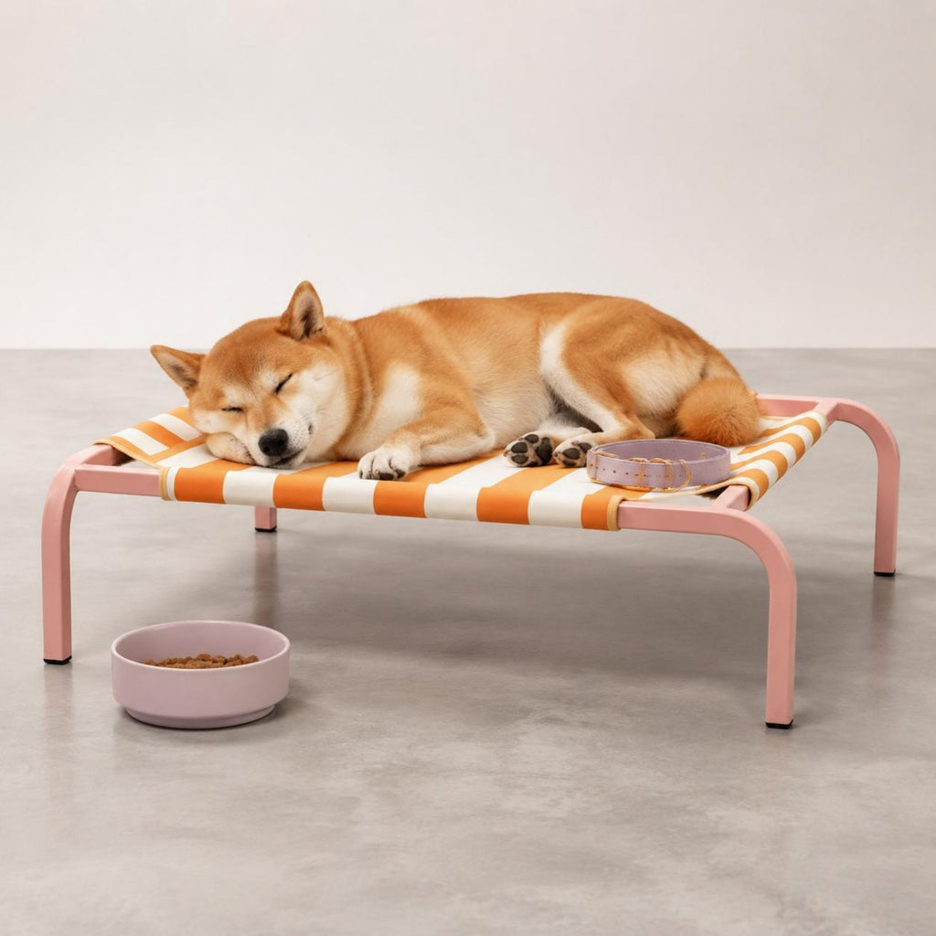 Breathable Raised Dog Bed Long-Lasting Portable Pet Cot Easy to Clean for Summer
