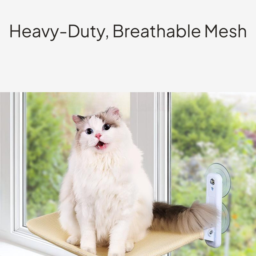 Cat Resting Spot, Suction Holder Bed, Foldable Window Perch