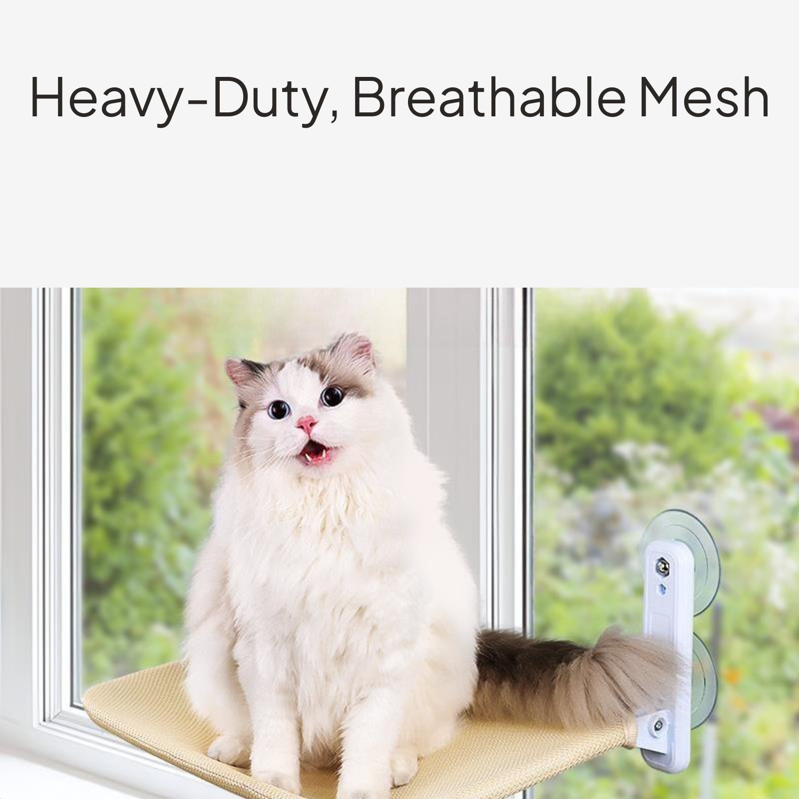 Cat Resting Spot, Suction Holder Bed, Foldable Window Perch