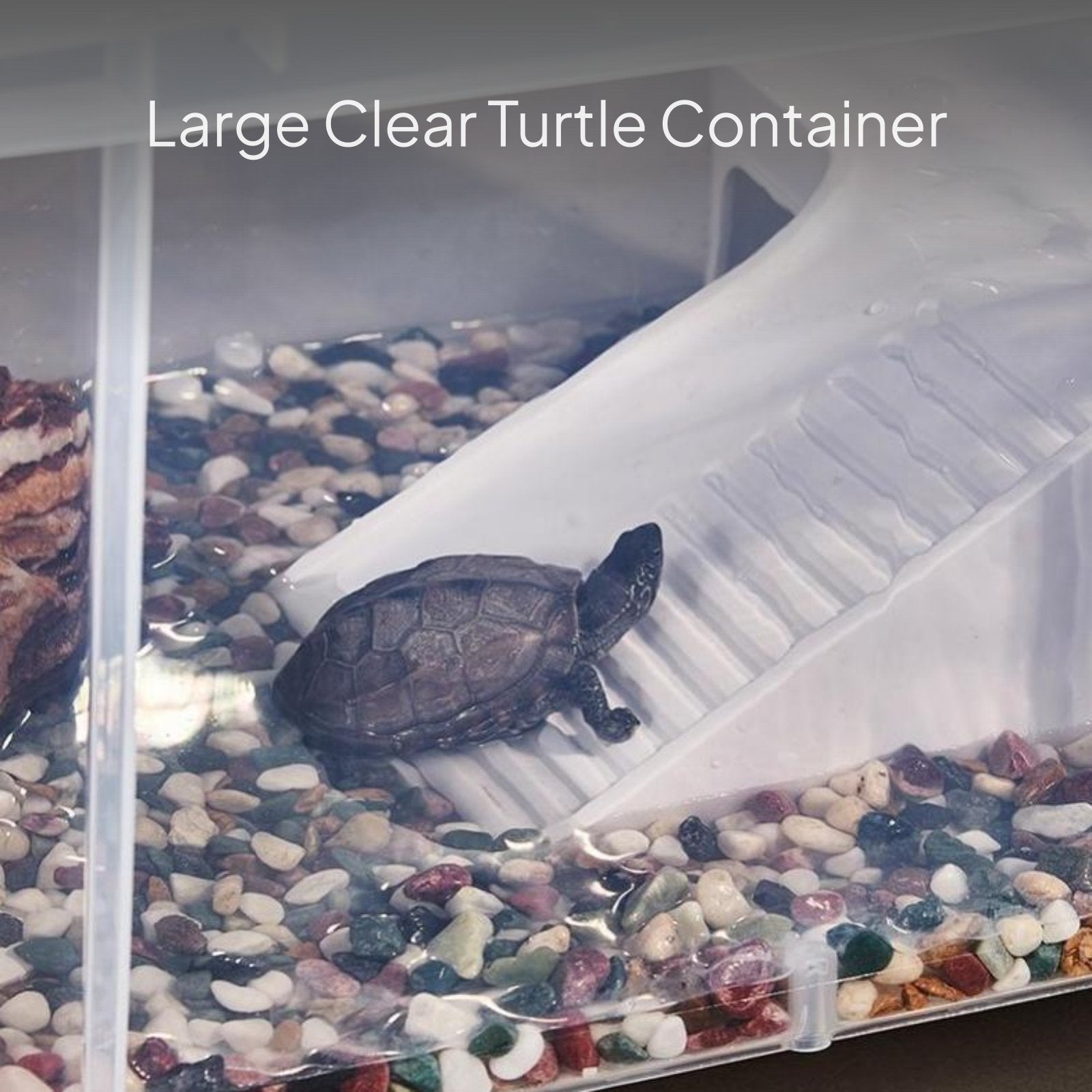 Transparent Turtle Tank with Lid and Drainage