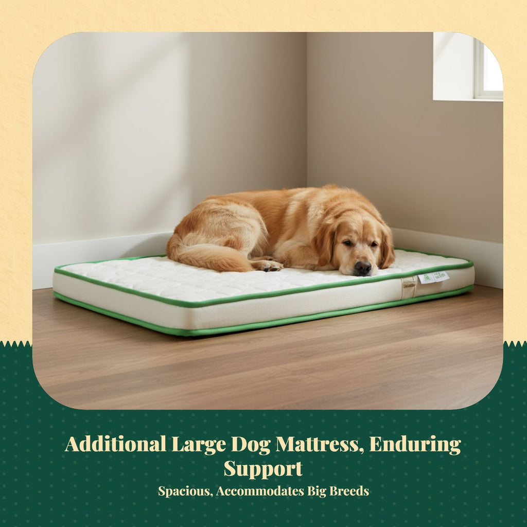 Orthopedic Dog Bed, Foam Mattress, Waterproof, Non-Slip