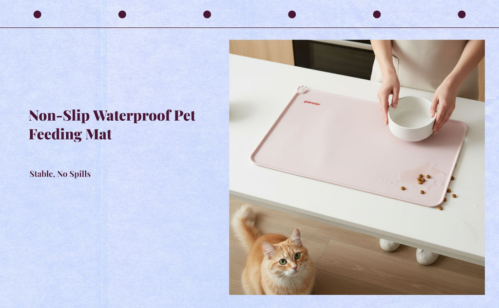 Pet Feeding Mat, Silicone Waterproof Non-Slip Pet Bowl Mat, wellnessConscious, Raised edge, Easy to Clean, Protects Floors, for felines and Dogs