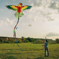 Colorful Parrot Kite Large Wing Span Outdoor Toy for Park