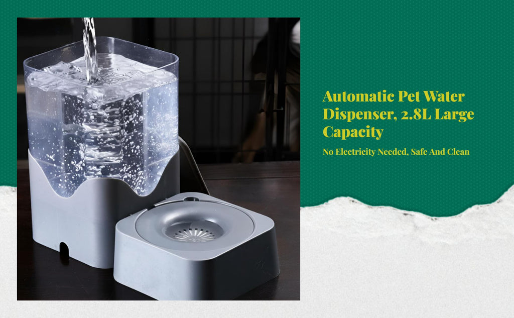 Pressure-fed pet water bowl, no power