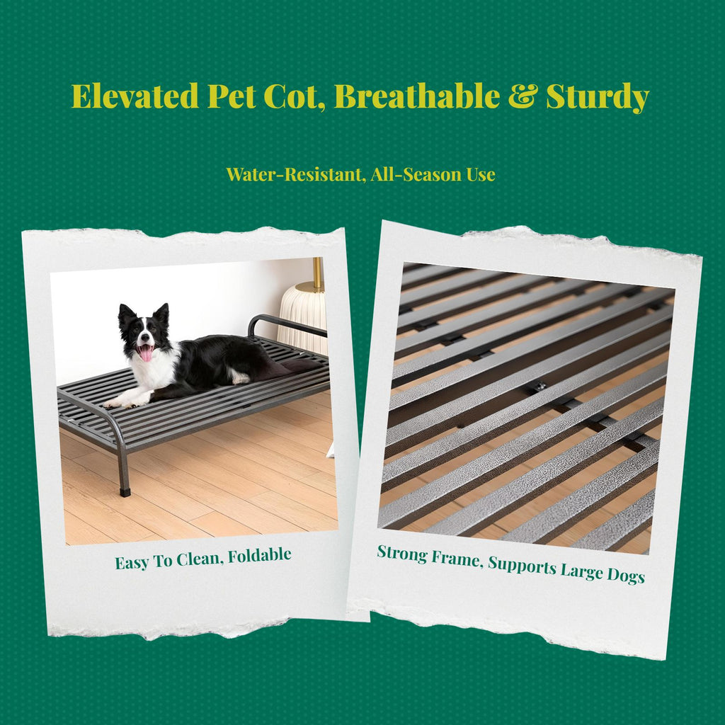 Cooling dog bed with removable cover