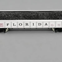 Florida FEC Carbon Car Detailed Lettering Model Train Miniature Rail Accessory