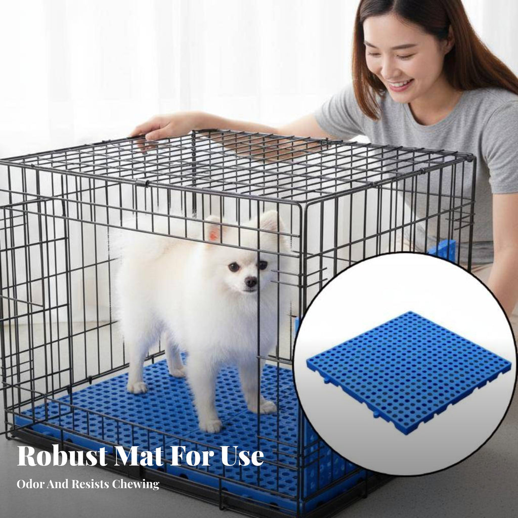 connectable Floor lattice Promotes Air Circulation Elevated Floor lattice for Kennels