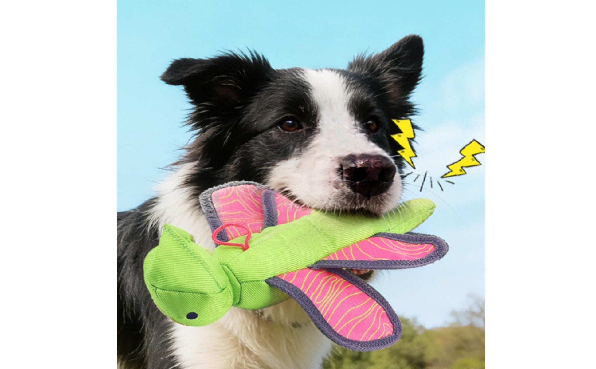 Squeaky Dog Launcher Toy Outdoor Play Dog Fetch Launcher Launches 3x Farther