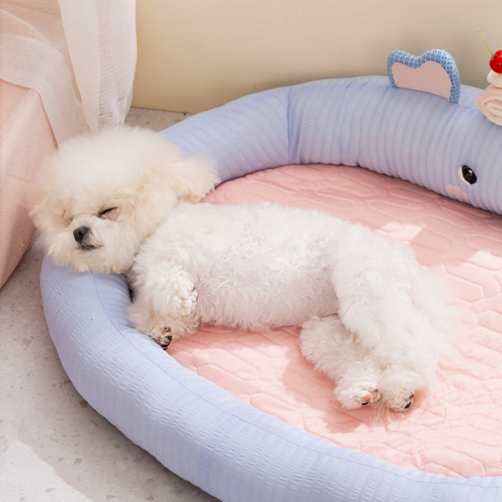 Small Dog Cooling Bed Supportive Raised Rim Bolstered Pet Bed Soft for Summer