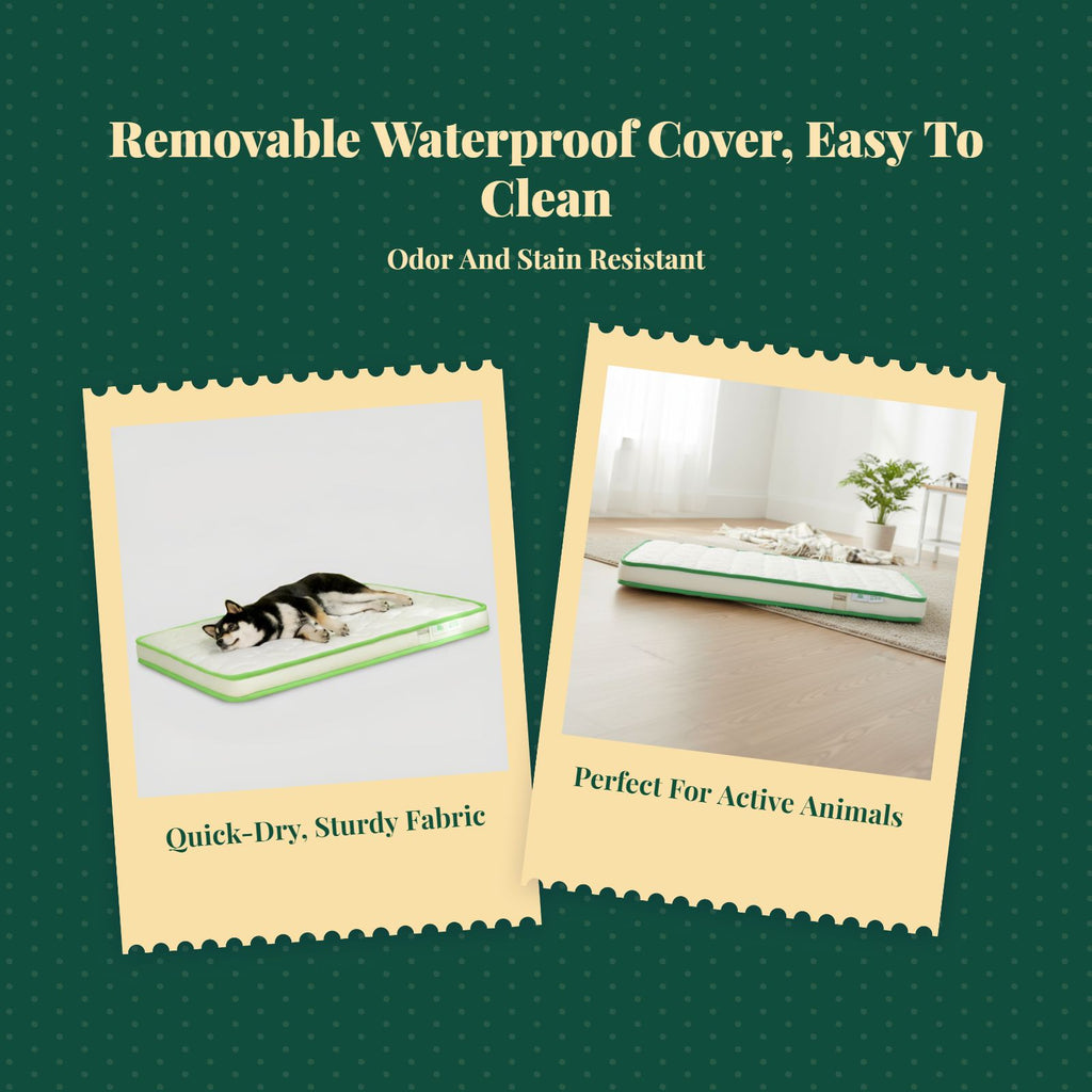 Orthopedic Dog Bed, Foam Mattress, Waterproof, Non-Slip