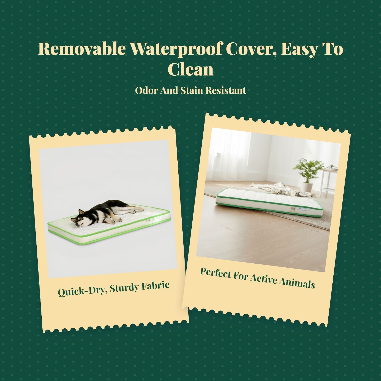 Orthopedic Dog Bed, Foam Mattress, Waterproof, Non-Slip