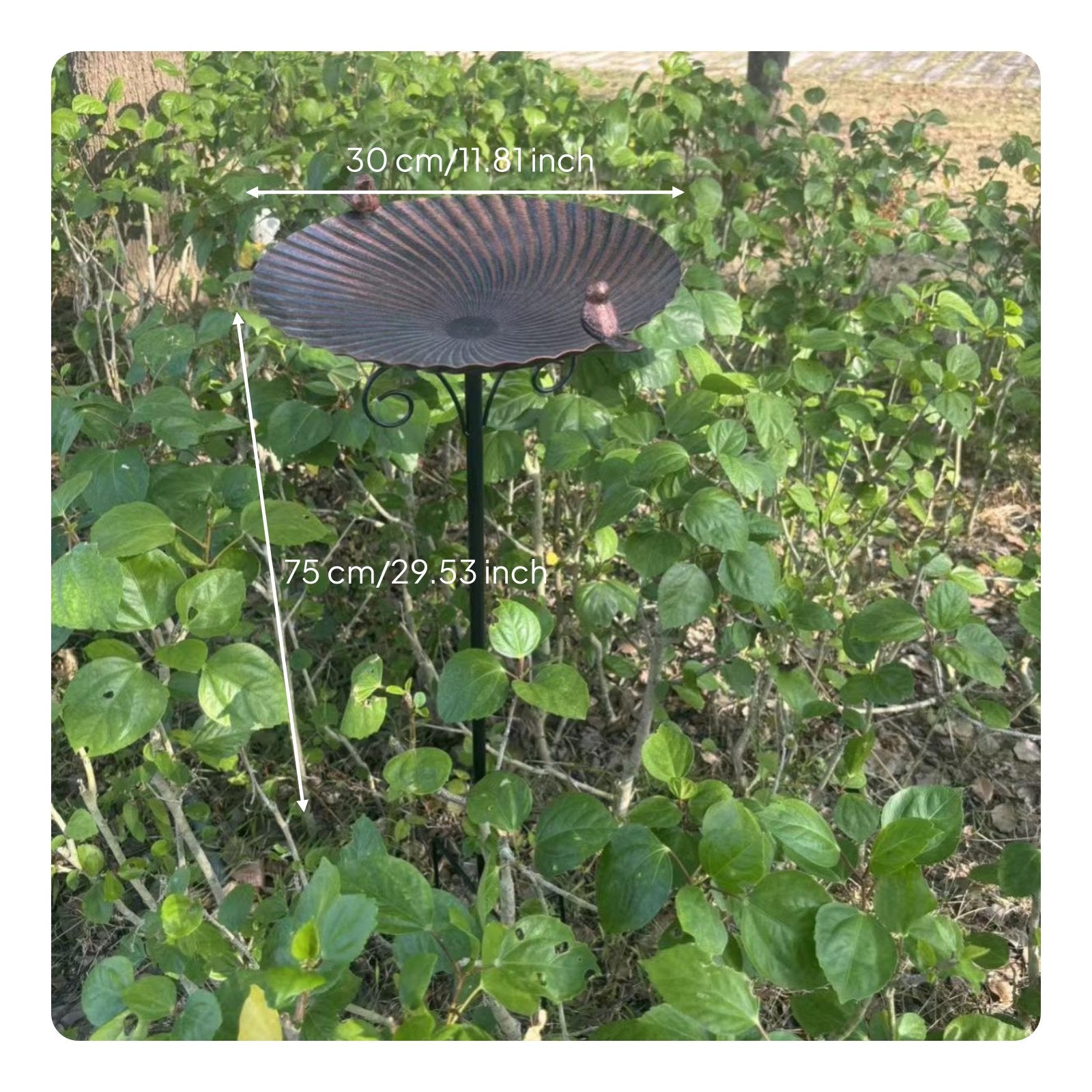 Freestanding Bird Bath Weatherproof Outdoor Decor Heavy Duty for Yard, Gardeners