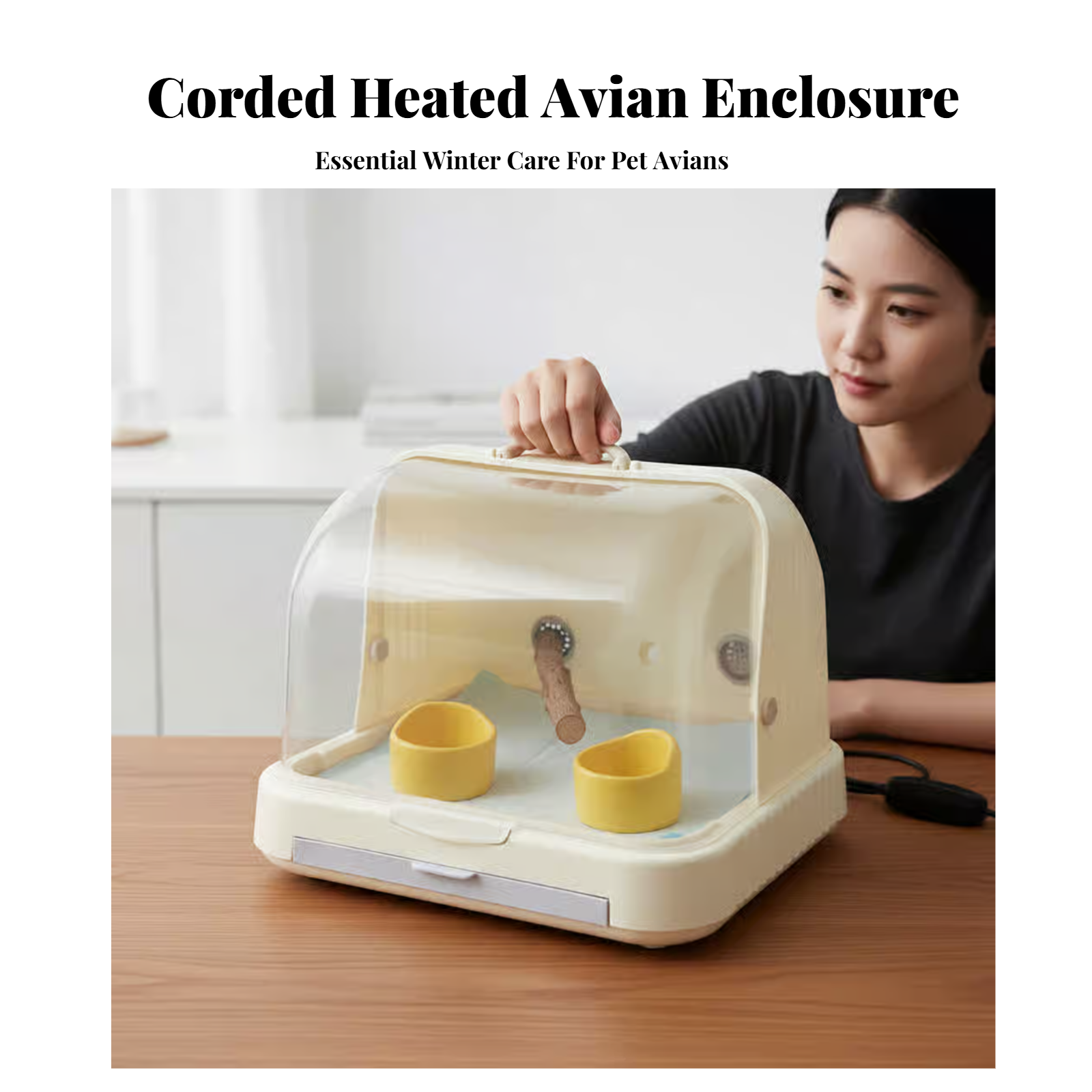 Pet Incubator, Thermostat, Timer, Brooder, Newborn Animals