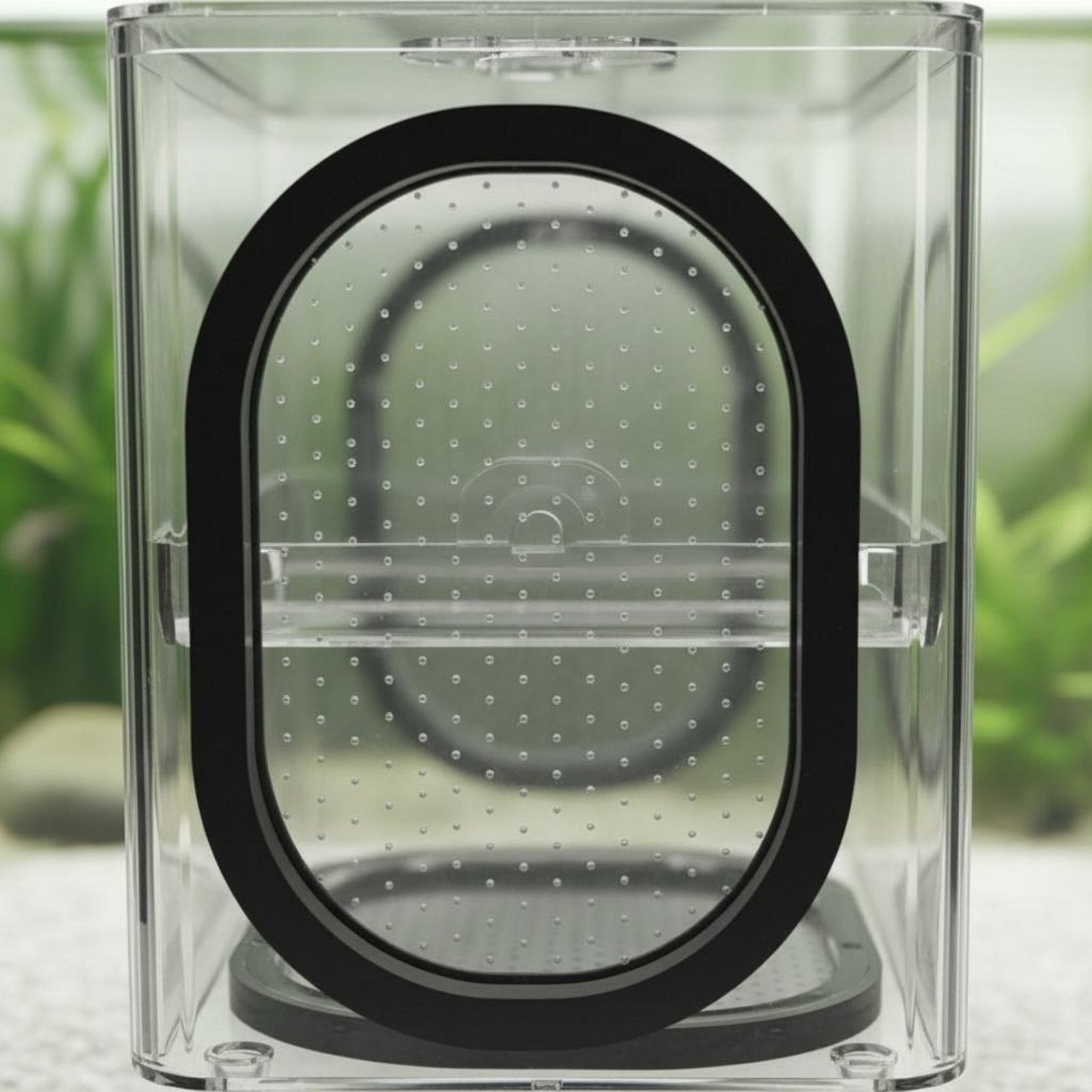 Aquatic Breeding Box Isolation Aquatic Hatchery Easy to Clean