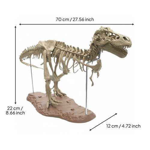 3D Dinosaur Skeleton Model Large Size Tyrannosaurus Rex Bone Assembly DIY