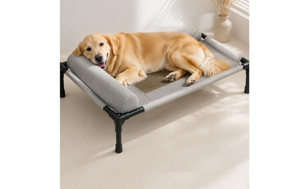 Elevated Dog Bed Black Frame Orthopedic Pet Bed Easy to Clean for Indoor, Pets
