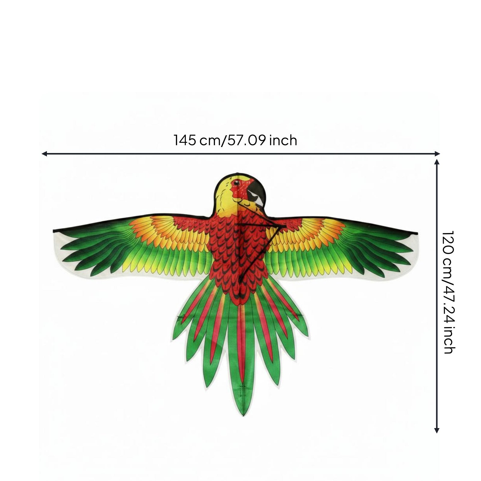 Colorful Parrot Kite Large Wing Span Outdoor Toy for Park