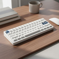 60% Mechanical Keyboard QMK/VIA Programmable Computer Peripheral For