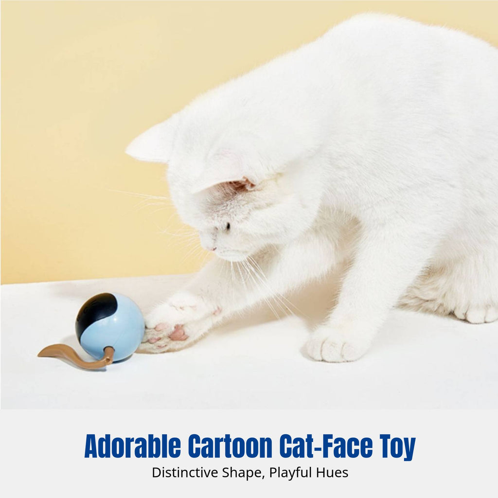 Electric Cat Toy Ball, Rechargeable, Automatic, Light-Up, Interactive Play