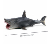 Megalodon Shark Model Detailed Dentition Open Mouth Shark Figurine Gray Black Megalodon Figurine