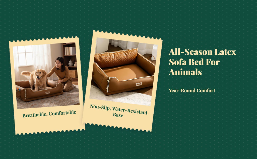 Orthopedic latex dog bed, removable cover