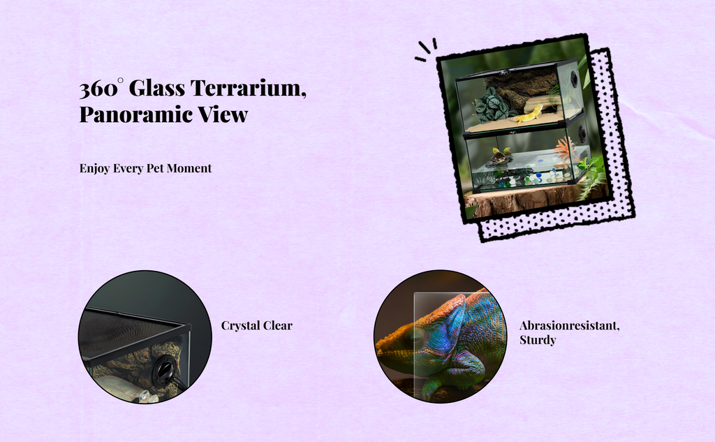 Lockable glass terrarium for geckos