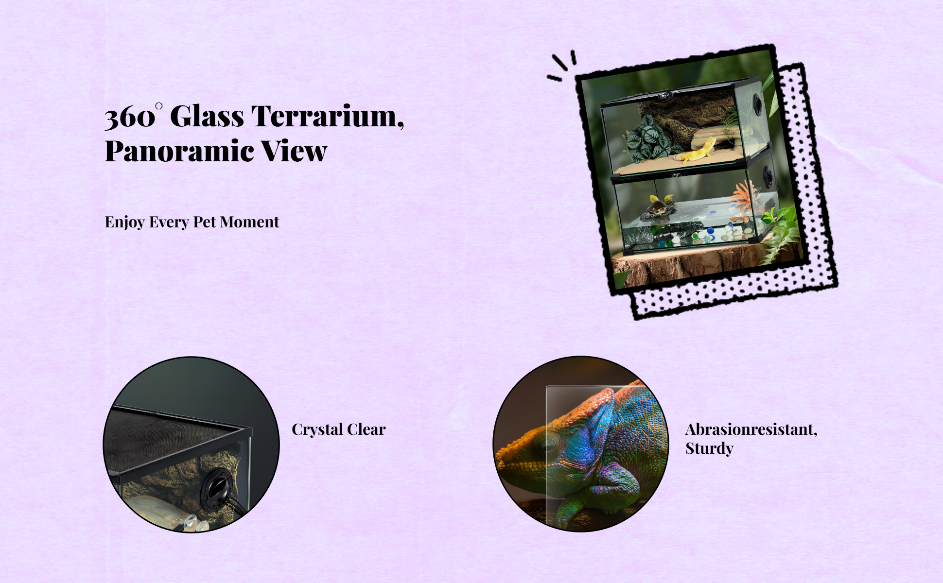 Lockable glass terrarium for geckos