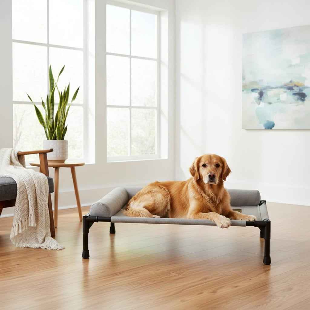 Elevated Pet Bed All-Season Use Raised Dog and Cat Bed Pet Cot Moisture-Resistant Easy to Clean for Dogs, Travel, Patio