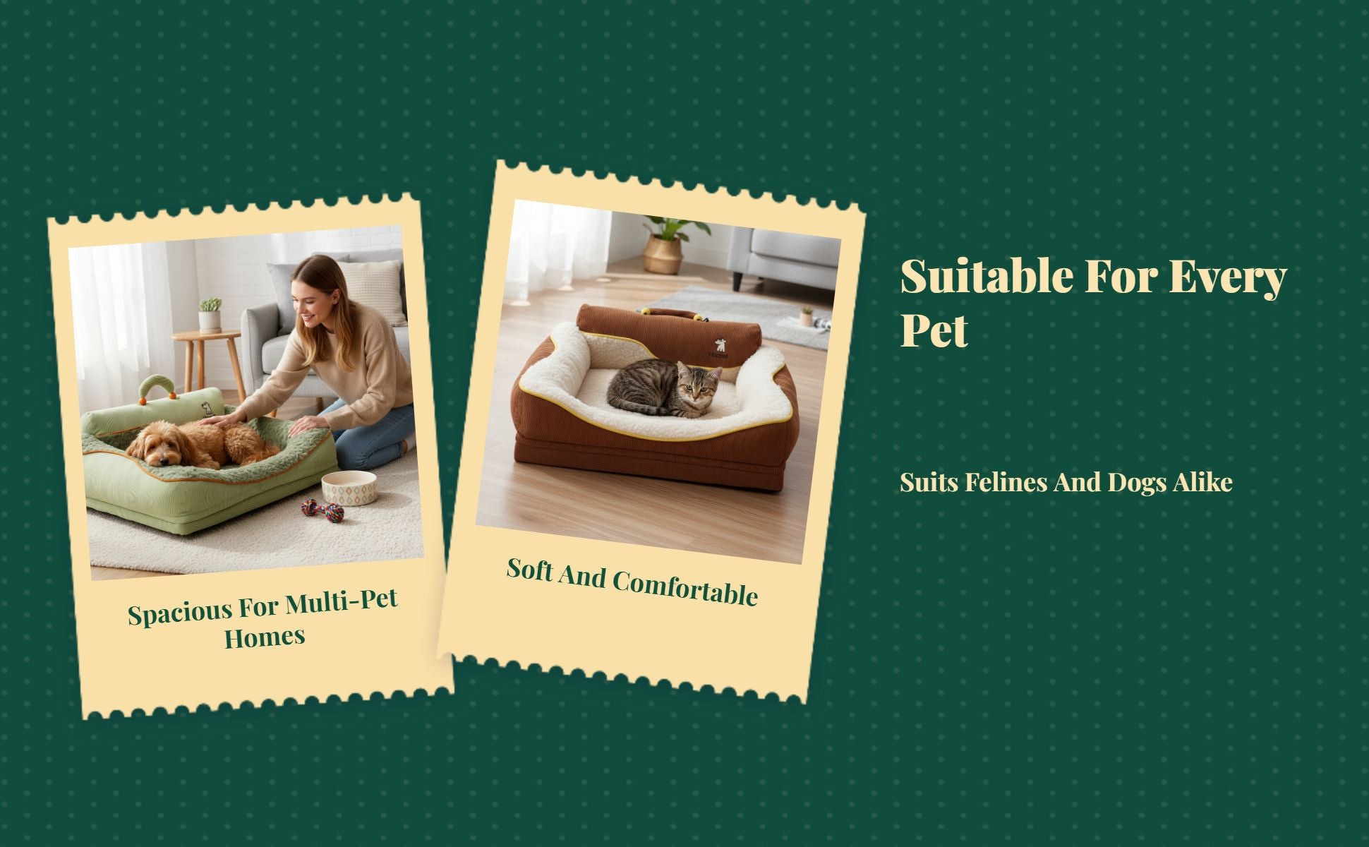 Washable pet bed with winter mat.