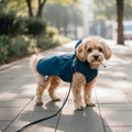 Clear Hood Dog Raincoat Portable Waterproof Dog Slicker Adjustable Straps