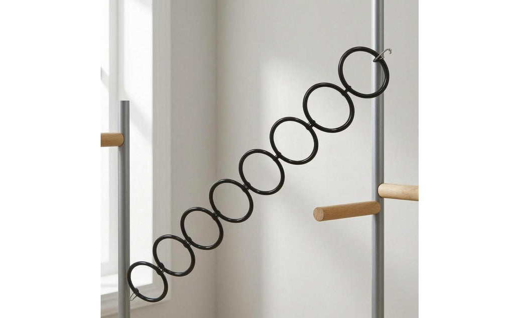 Reptile Climbing Toy Circular Hoops Hoop Ladder Black for Enclosure, Reptiles