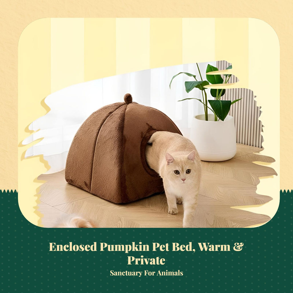 Pumpkin Cat Bed, Enclosed Calming Den for Small Pets