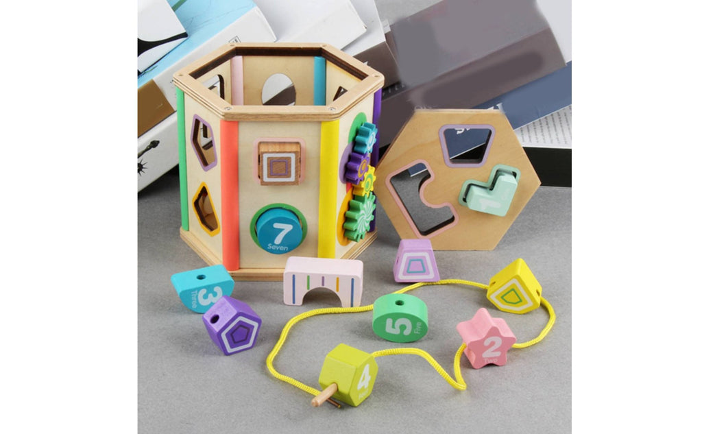Wooden Shape Sorting Toy Early Learning Wooden Shape Sorter Fine Motor Skills Educational Sorting Box for Young Children, Infants, Nursery, Preschool