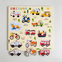 Educational Grasp Board Colorful Wooden Learning Puzzle Wooden Shape Sorter for Kids