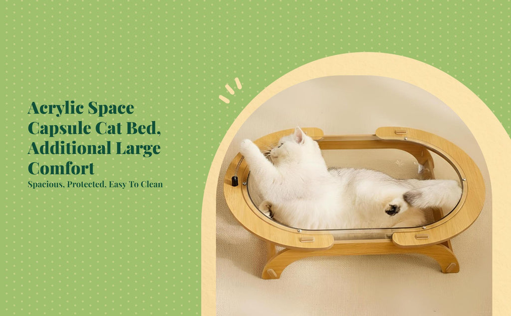 Cat Bed with Scratching Post