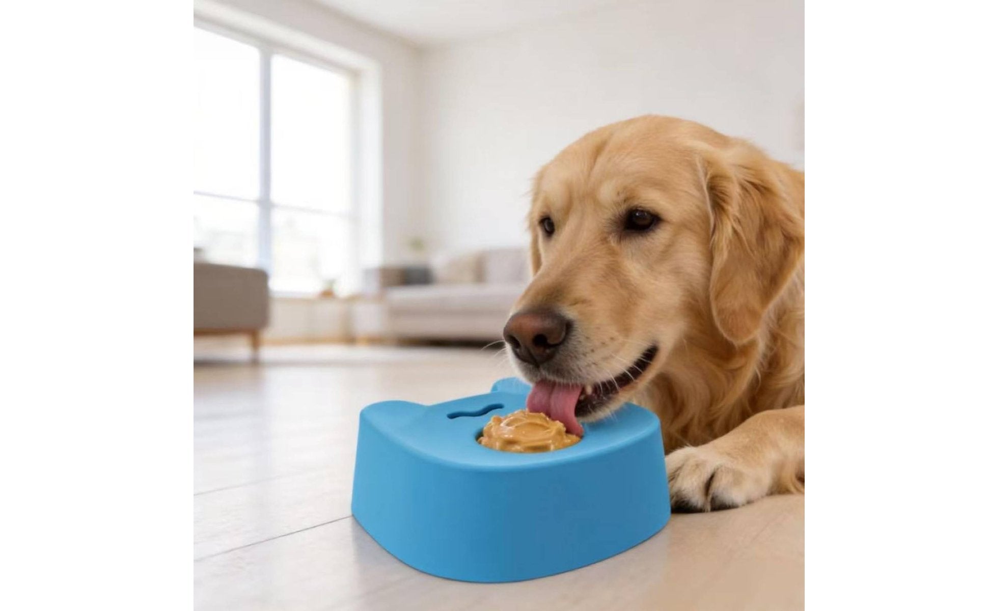 Slow Feeder Lick Bowl Non-Slip Base Liquid Treat Dispenser Multi-Purpose