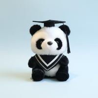 2 Pieces Graduation Panda Stuffed Animal Wearing Cap and Gown for Graduates