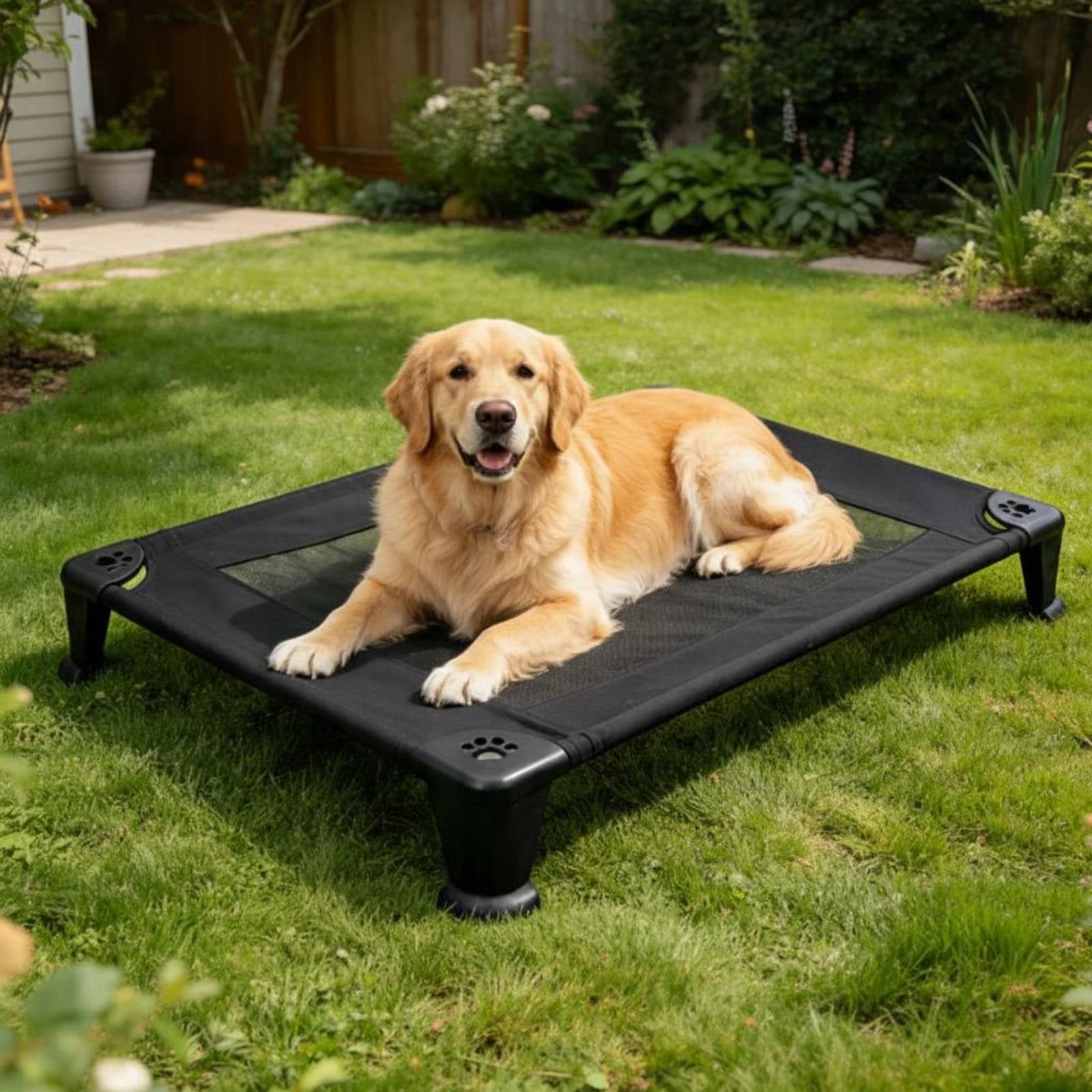 Cot-Style Dog Bed Plastic Frame Dog Cot Bed Anti-Slip
