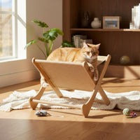 Feline Scratch Bed Self-Entertainment Toy Feline Scratcher Lounge 2-in-1