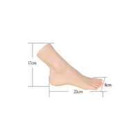 Realistic Female Foot Lifelike Texture Acupuncture Training Model Separated Toes